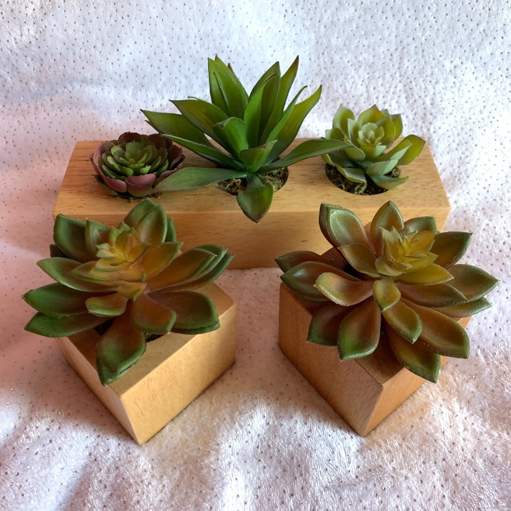 Set of 3 Decorative Faux Succulents Wooden Base